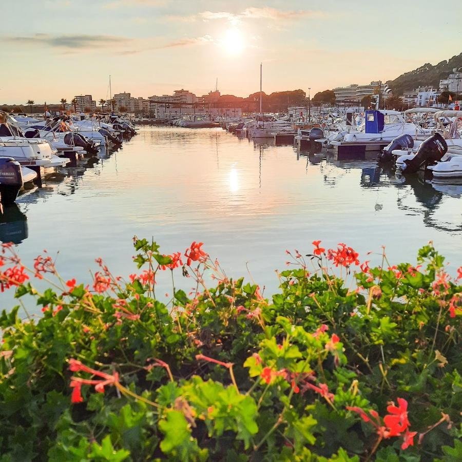 Seafront L'Estartit Roof Διαμέρισμα Εξωτερικό φωτογραφία